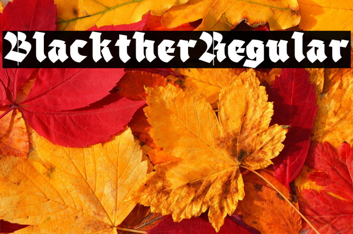 Blackther Regular Example 1