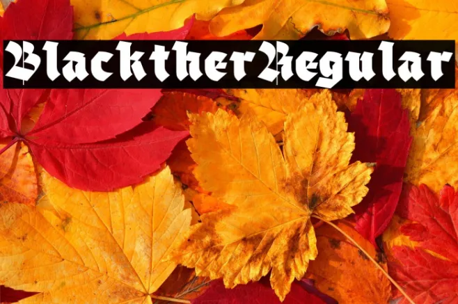 Blackther Regular Example 1