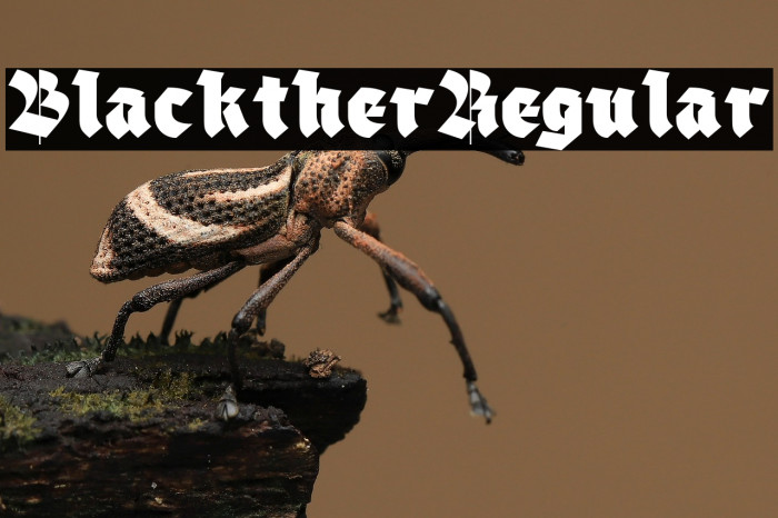 Blackther Regular Example 2