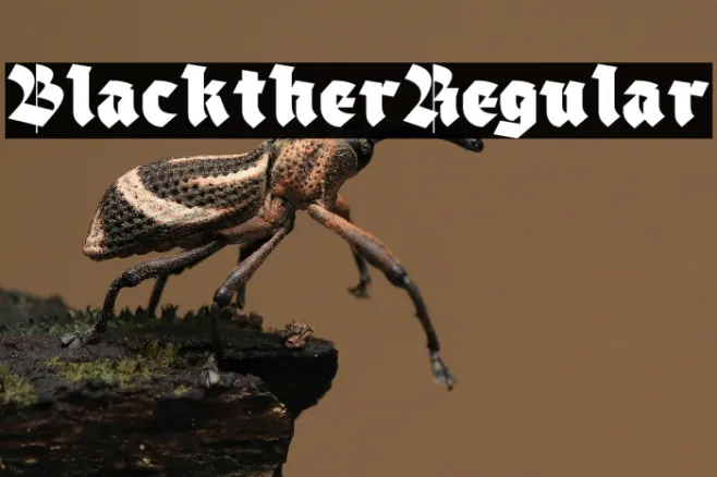 Blackther Regular Example 2