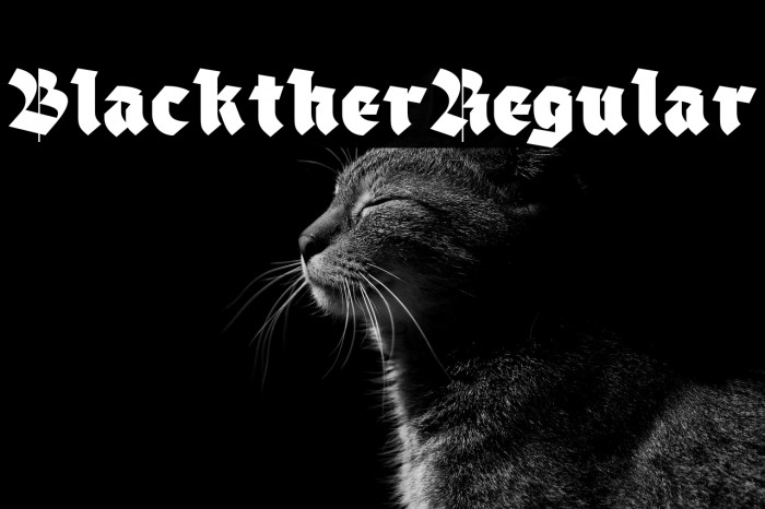 Blackther Regular Example 3