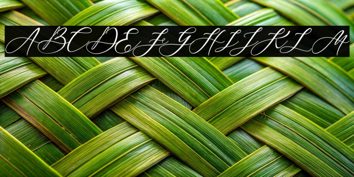 Blackthise Example 2