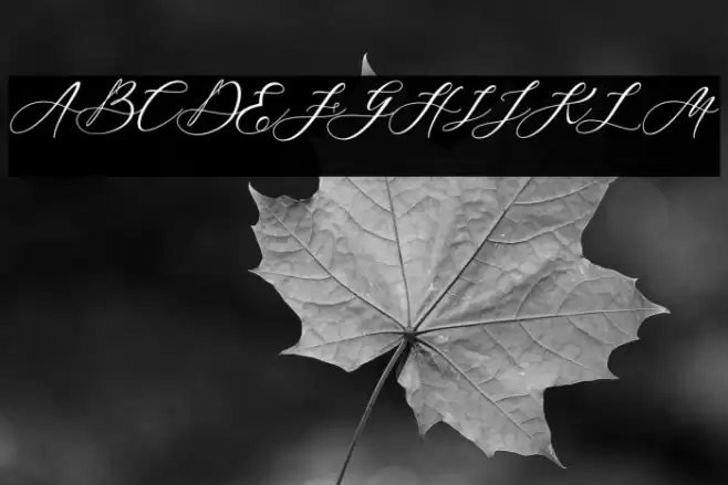 Blackthise Font examples