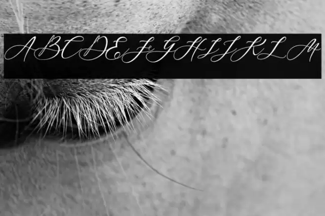 Blackthise Font examples