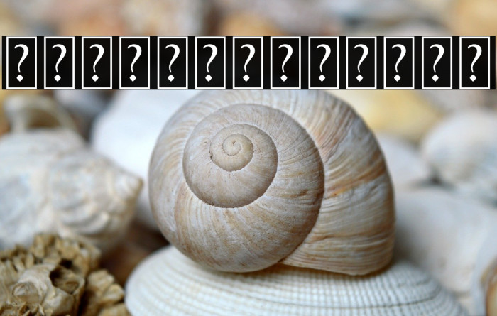 BlackthornOrnament Example 3