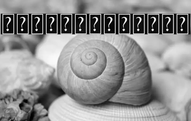 BlackthornOrnament Font examples