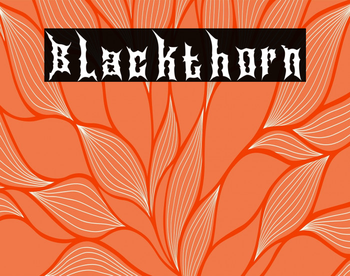 Blackthorn Example 1