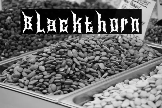 Blackthorn Font examples