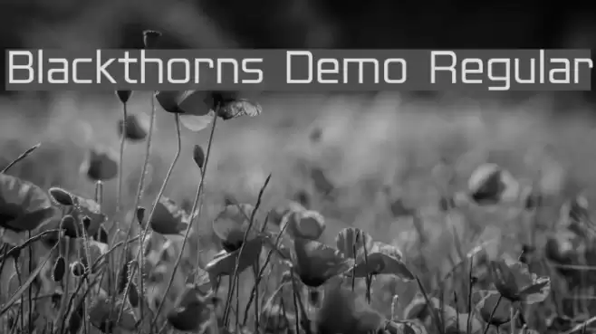 Blackthorns Demo Regular Font examples