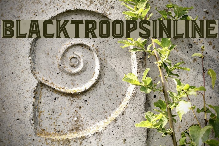 BlacktroopsInline Font examples