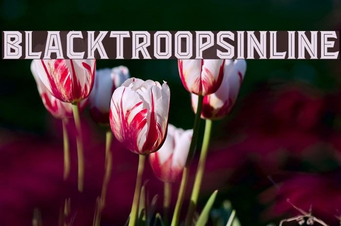 BlacktroopsInline Font examples
