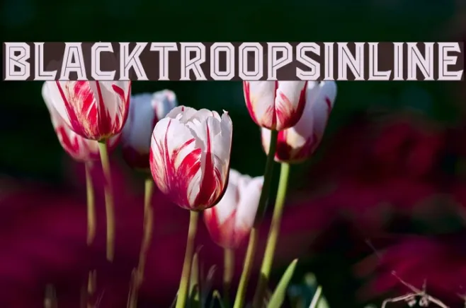 BlacktroopsInline Example 3