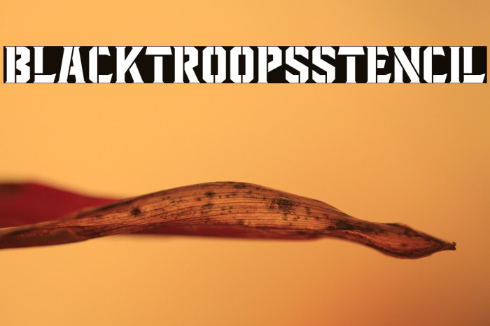 BlacktroopsStencil Example 1