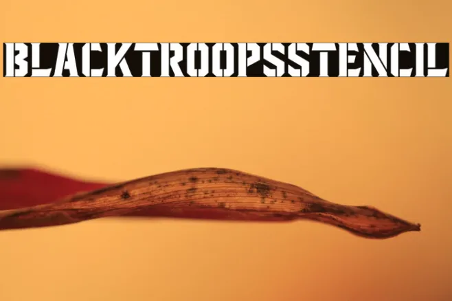 BlacktroopsStencil Example 1
