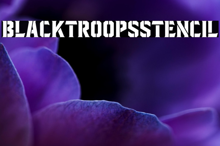 BlacktroopsStencil Example 2