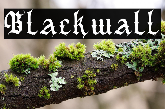 Blackwall Example 1