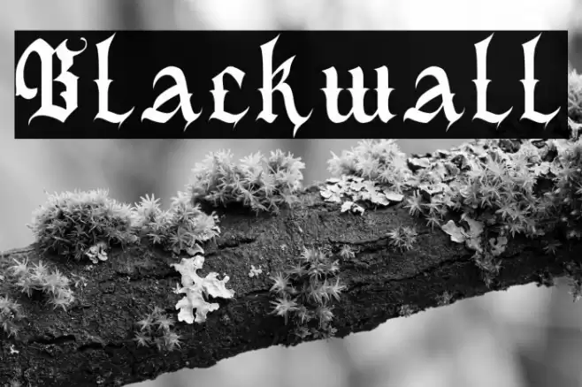 Blackwall Font examples