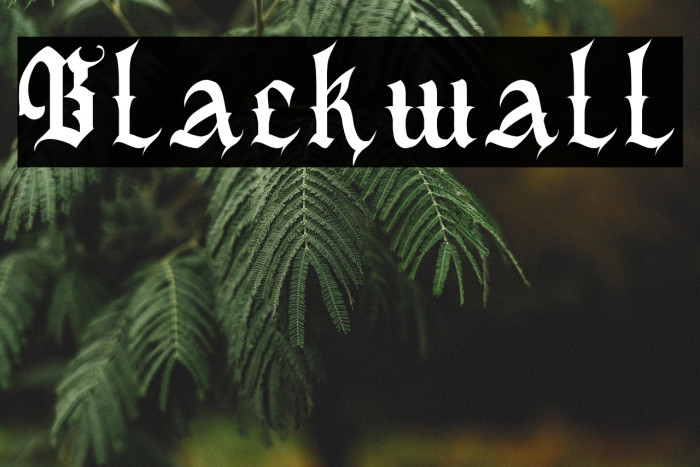 Blackwall Example 2