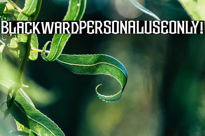 Blackward PERSONAL USE ONLY! Example 1