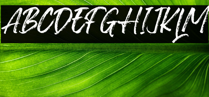 BlackwayBrush-Regular Example 3