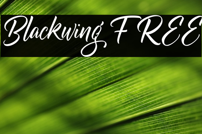 Blackwing FREE Example 3