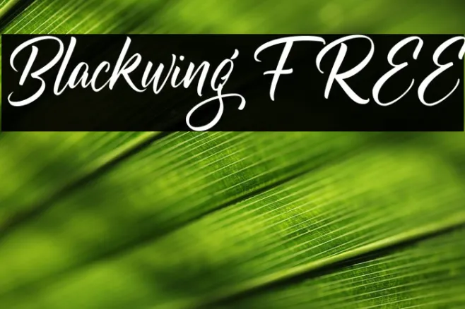 Blackwing FREE Example 3