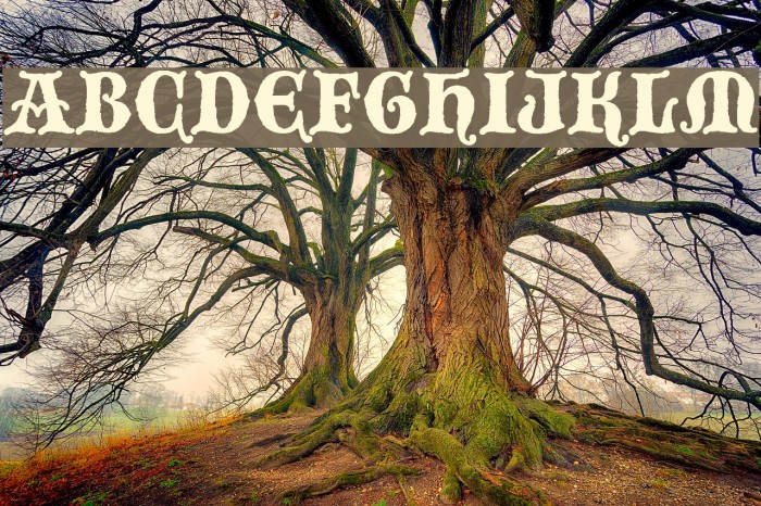 BlackwoodCastle Font examples