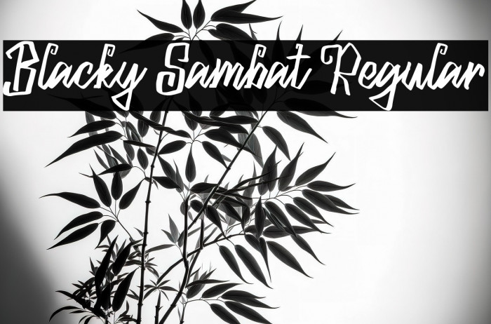 Blacky Sambat Regular Example 1