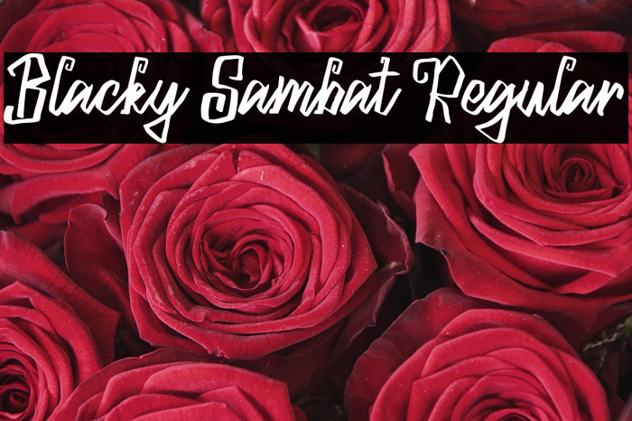 Blacky Sambat Regular Example 2