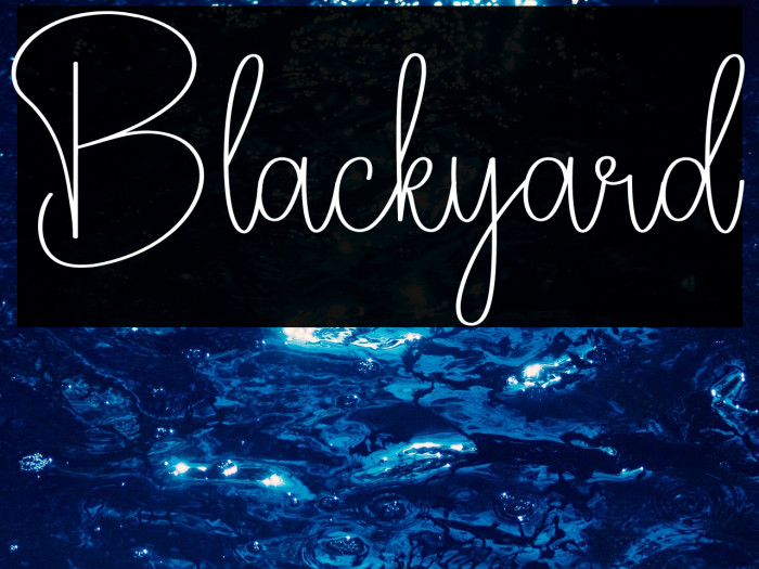 Blackyard Example 1