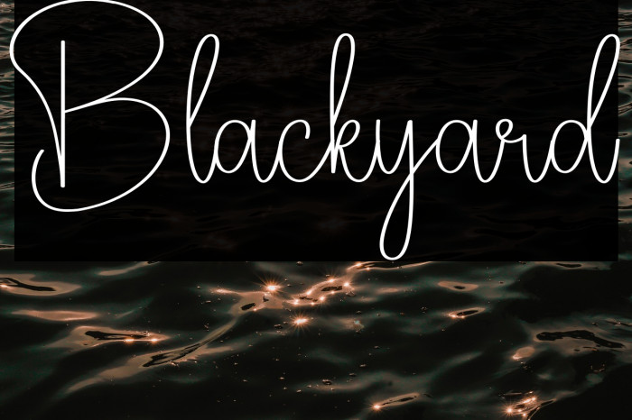 Blackyard Example 2