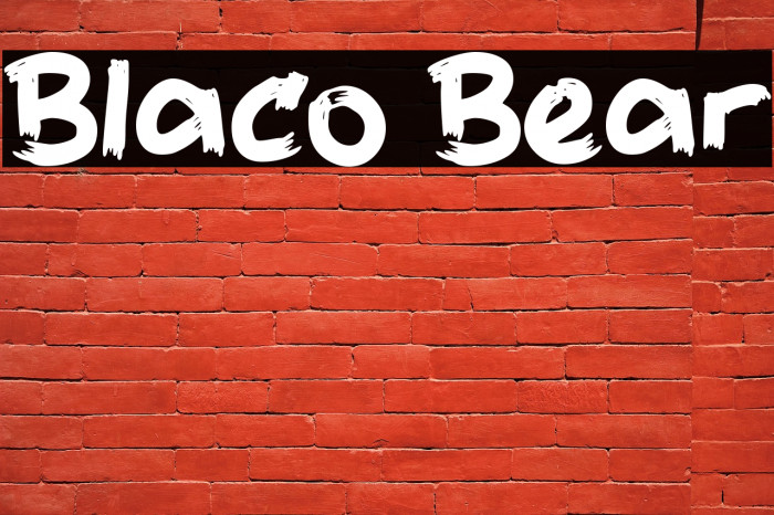 Blaco Bear Example 1