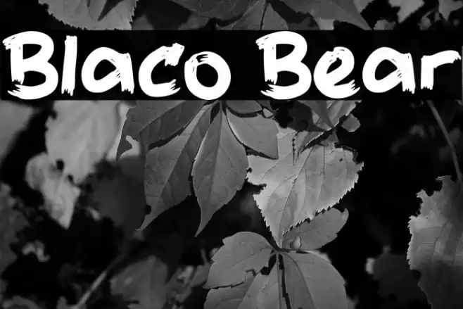 Blaco Bear Font examples