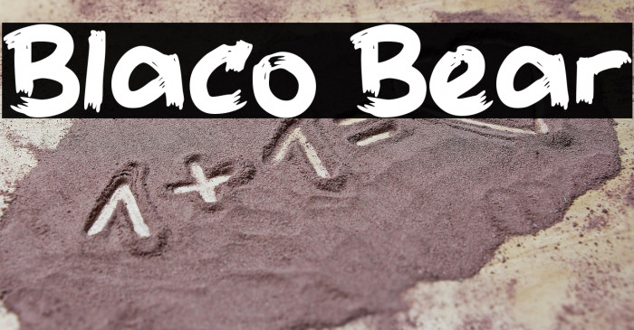 Blaco Bear Example 3