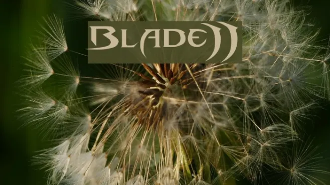 Blade-2 Example 2