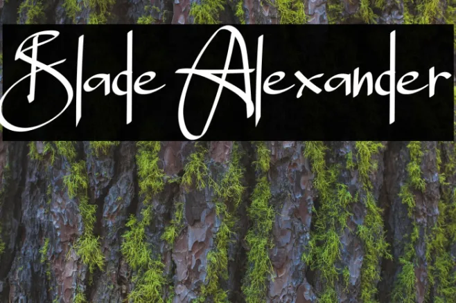 Blade Alexander Example 1