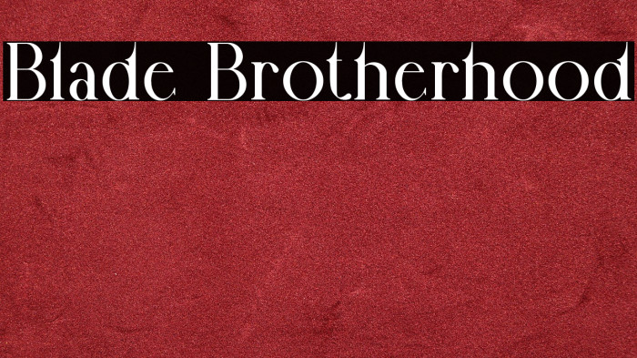 Blade Brotherhood Example 1