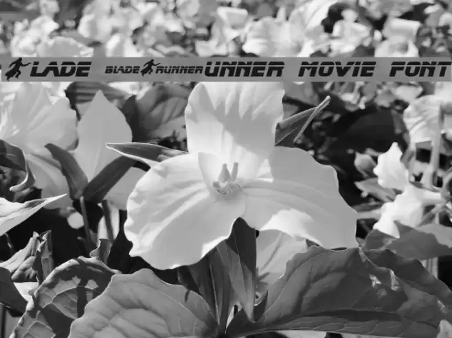 Blade Runner Movie Font خط examples
