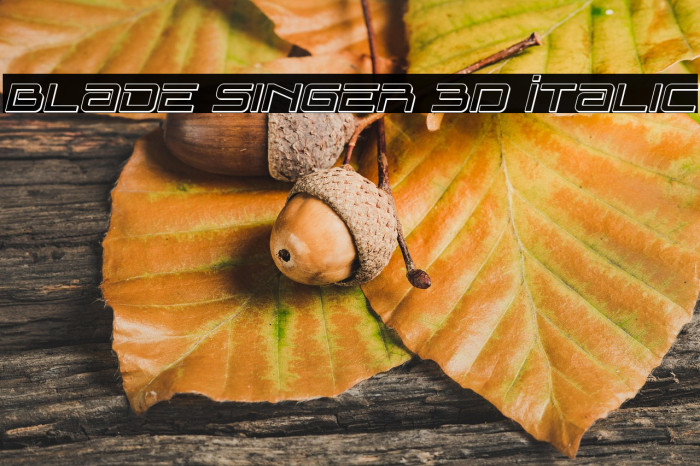 Blade Singer 3D Italic Example 1