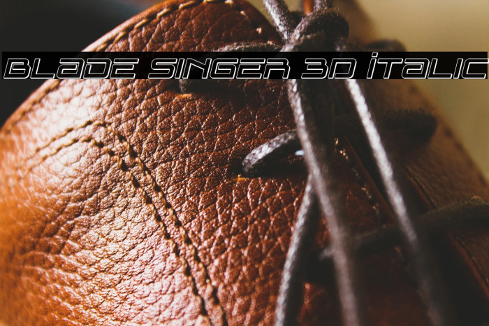 Blade Singer 3D Italic Example 2