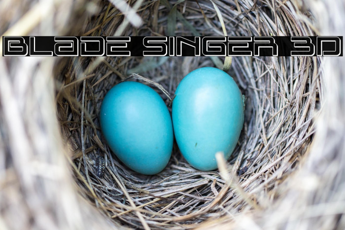 Blade Singer 3D Example 2