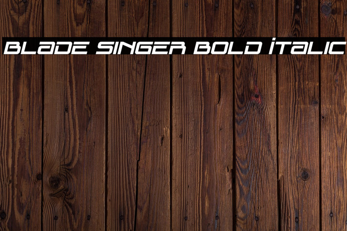 Blade Singer Bold Italic Example 3