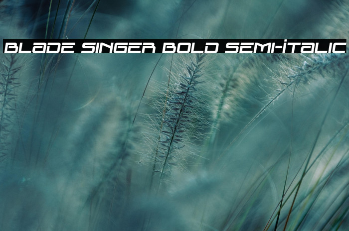 Blade Singer Bold Semi-Italic Example 2