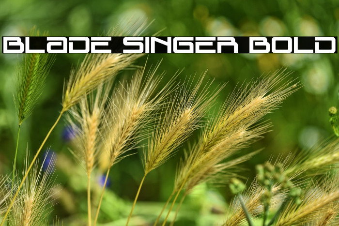 Blade Singer Bold Example 2