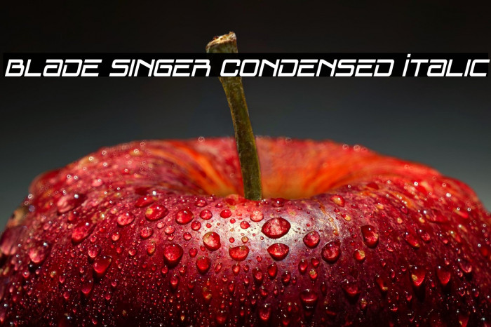 Blade Singer Condensed Italic Example 1