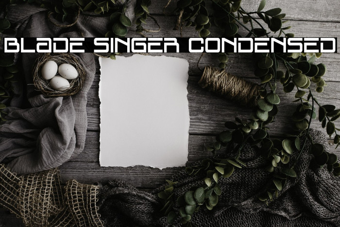 Blade Singer Condensed Example 1
