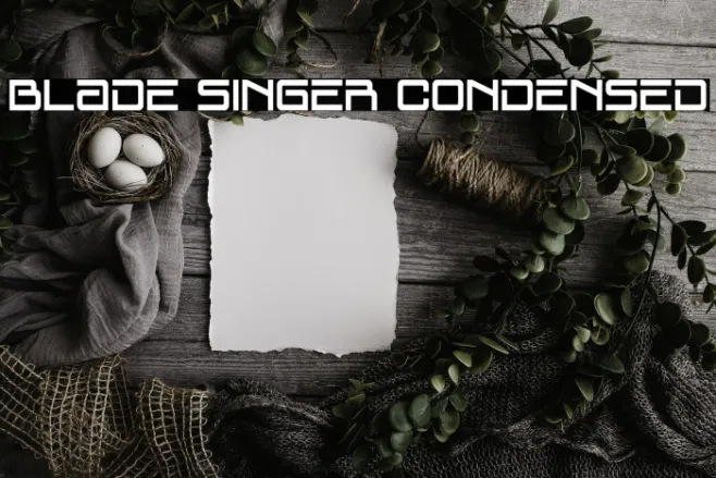 Blade Singer Condensed Example 1