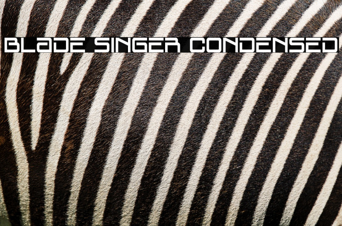 Blade Singer Condensed Example 2