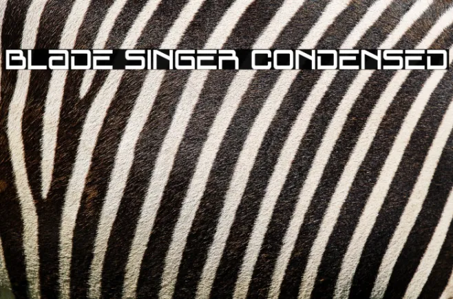 Blade Singer Condensed Example 2