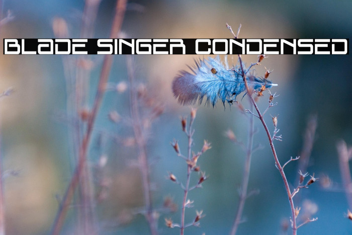 Blade Singer Condensed Example 3